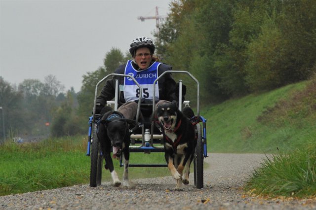 Rennen Weinfelden